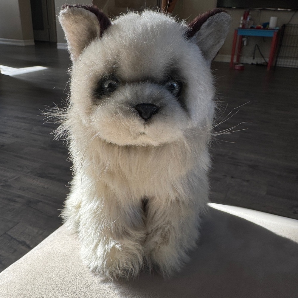 Vintage 1987 Applause Avanti Jockline, Italy Himalayan Cat plush toy.